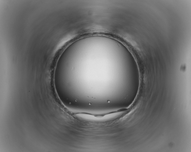 X0000097651309200803142101