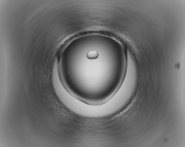 X0000097651313200803142101