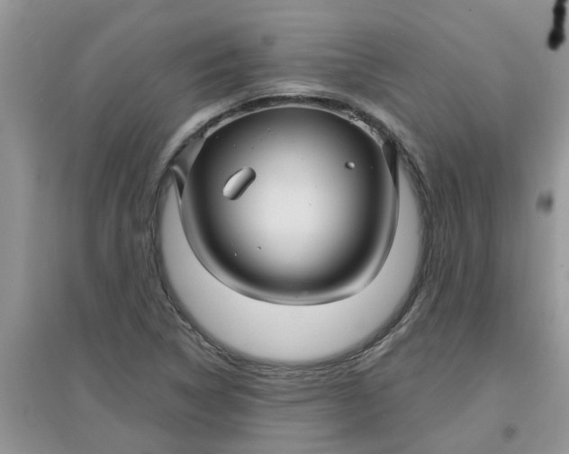 X0000097651314200803142101