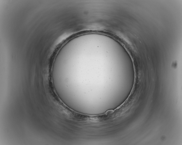 X0000097651315200803142101