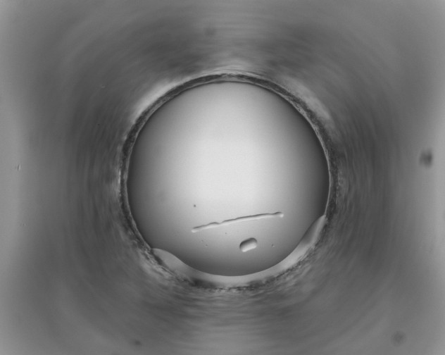 X0000097651316200803142101