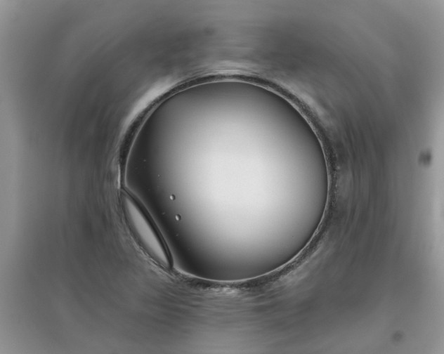 X0000097651317200803142101