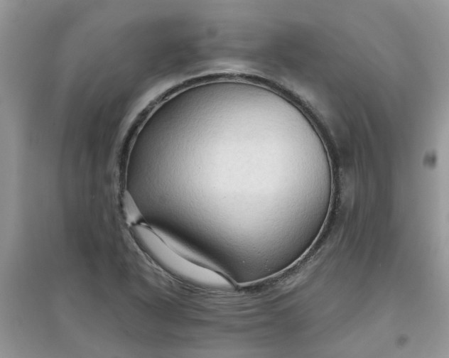 X0000097651318200803142101