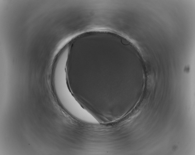 X0000097651319200803142101