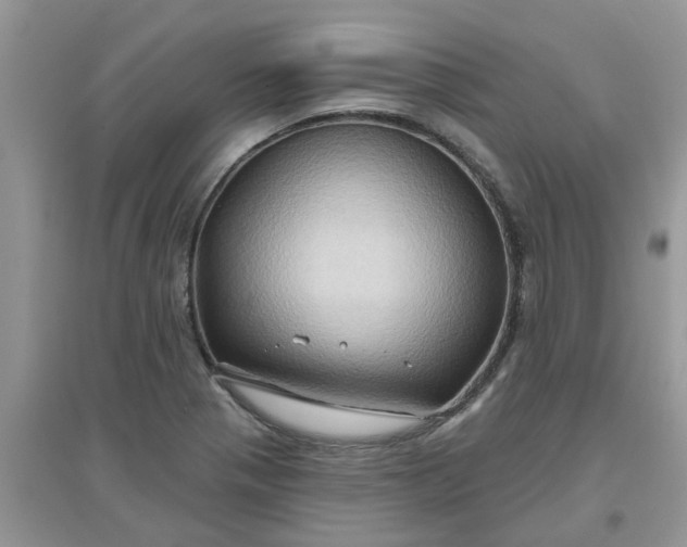 X0000097651321200803142101