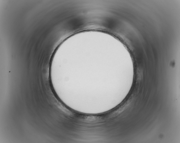 X0000097651322200803142101