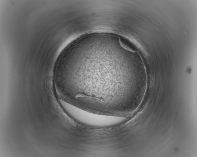 X0000097651325200803142101