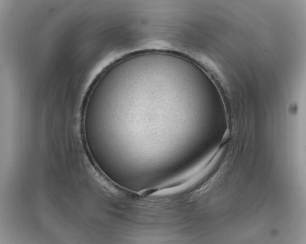 X0000097651326200803142101