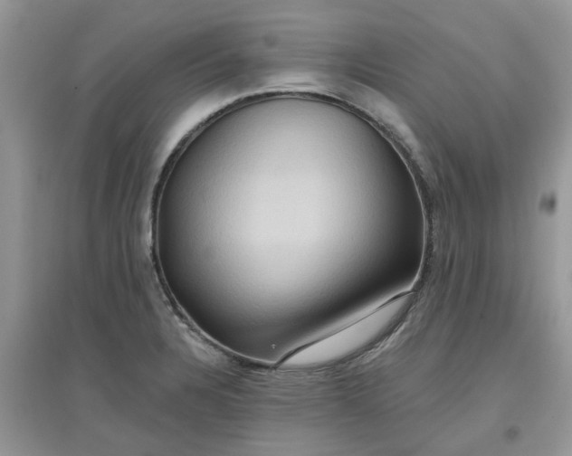 X0000097651328200803142101