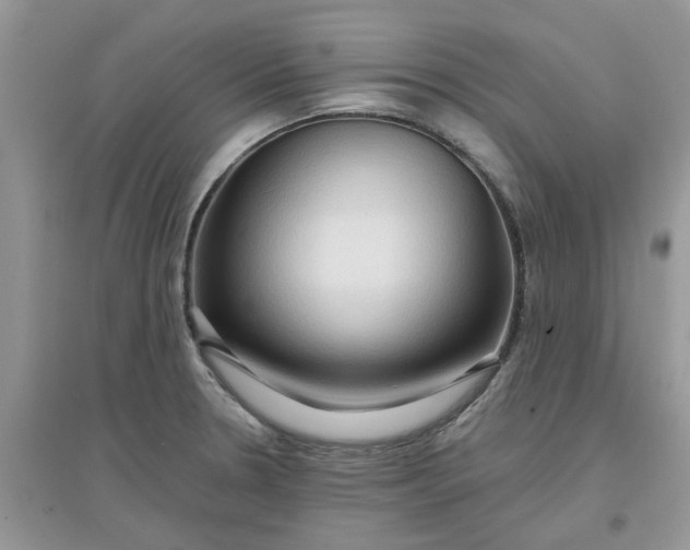 X0000097651330200803142101