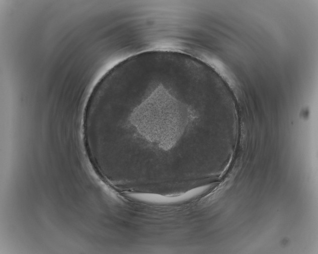 X0000097651331200803142101