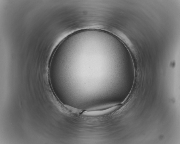 X0000097651332200803142101