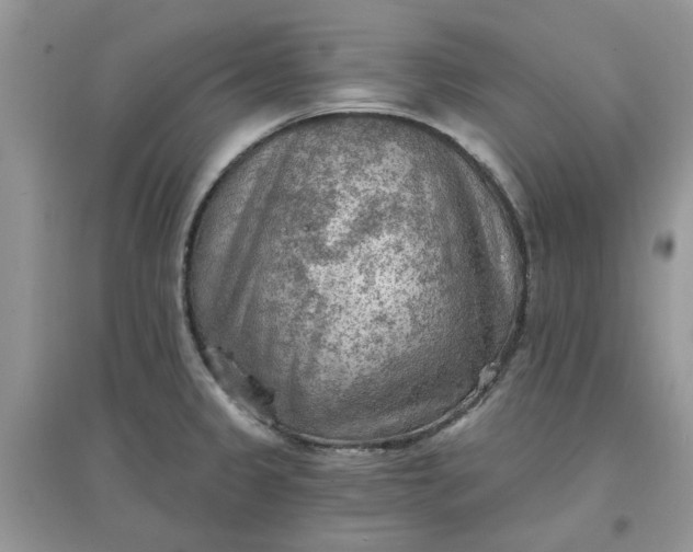 X0000097651333200803142101