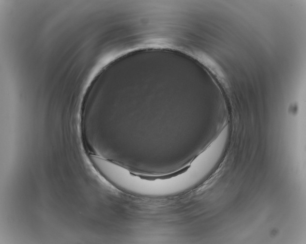 X0000097651334200803142101