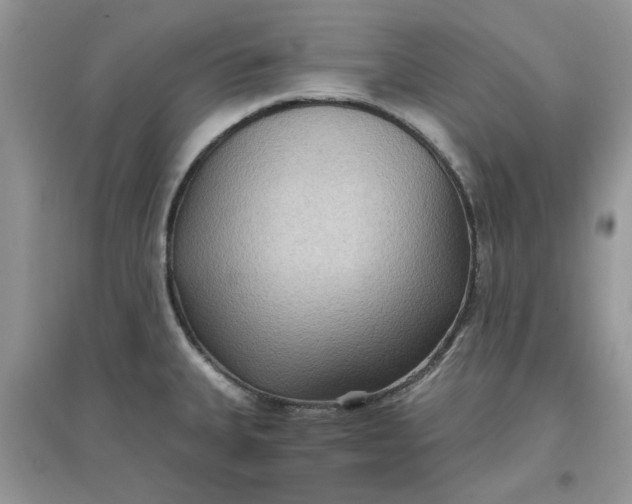 X0000097651335200803142101