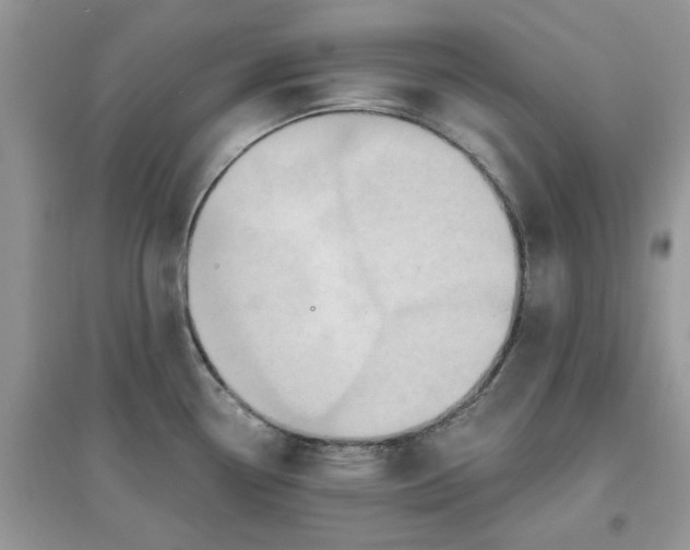 X0000097651338200803142101