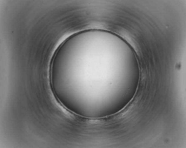 X0000097651339200803142101