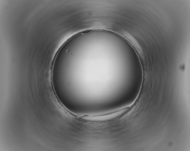 X0000097651340200803142101