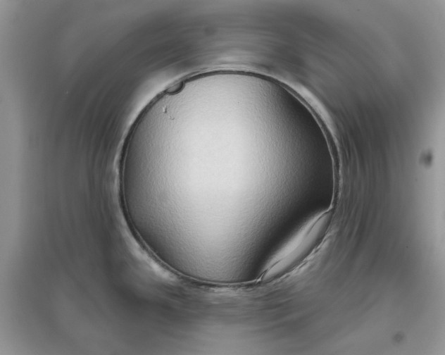 X0000097651341200803142101