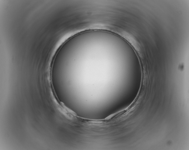 X0000097651342200803142101