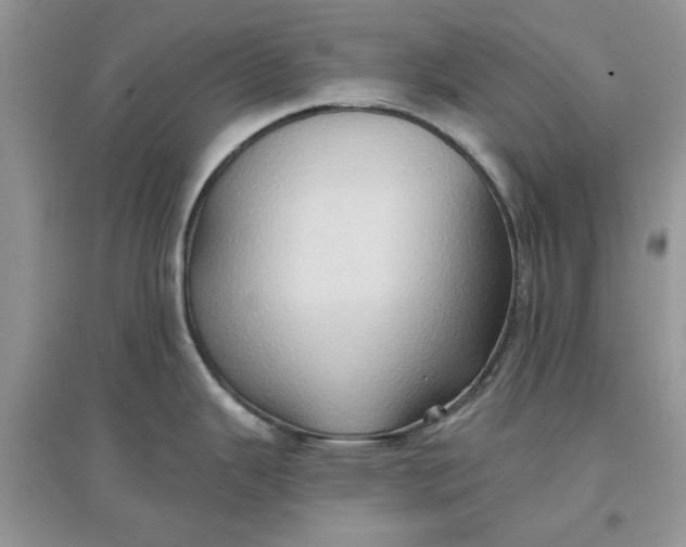 X0000097651343200803142101