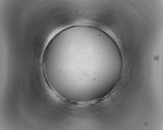 X0000097651344200803142101