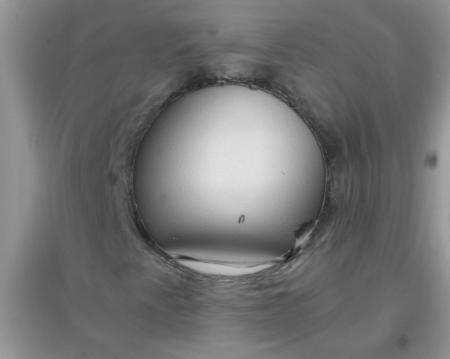 X0000097651345200803142100