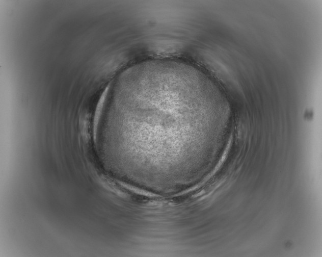 X0000097651346200803142100