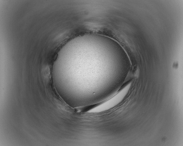 X0000097651347200803142100