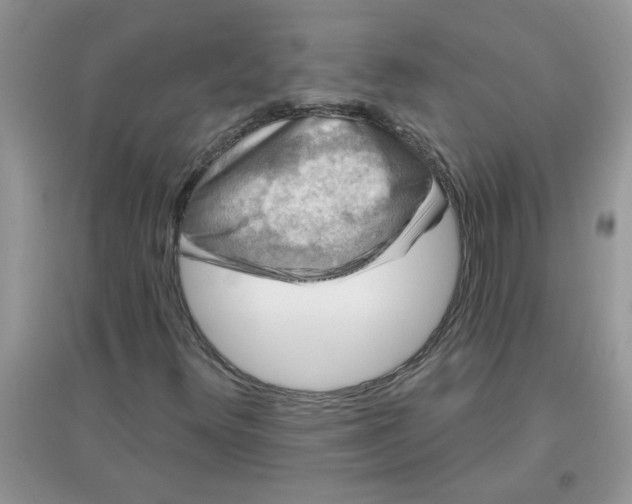 X0000097651348200803142100