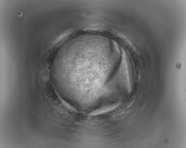 X0000097651350200803142100