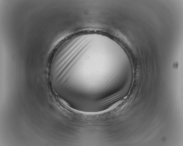 X0000097651352200803142100