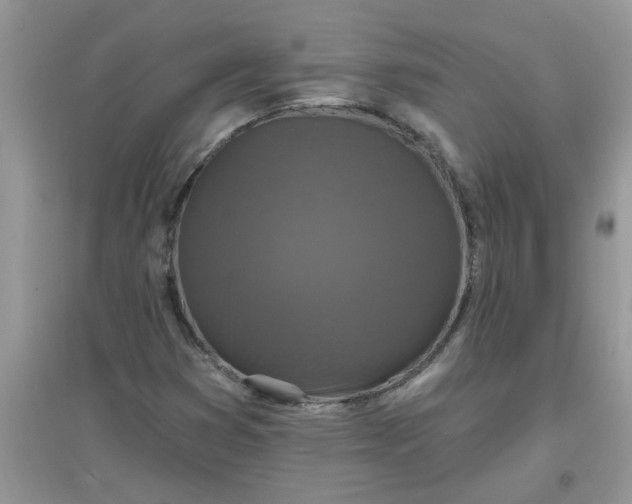 X0000097651353200803142100