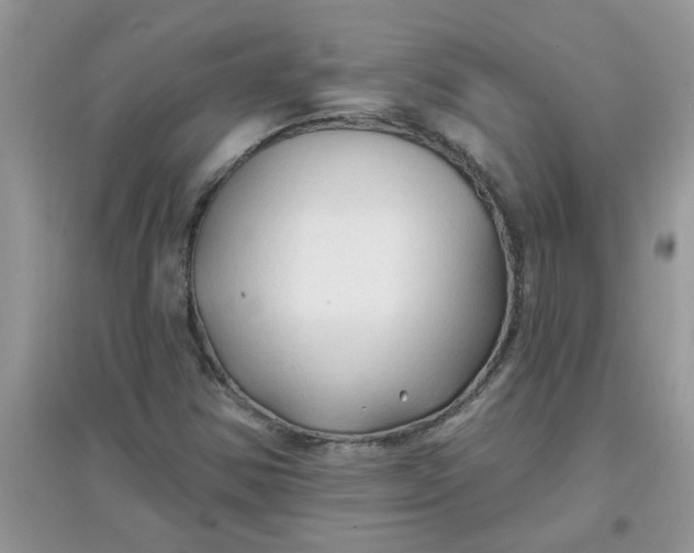 X0000097651354200803142100