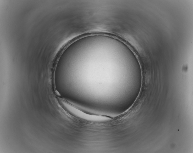 X0000097651356200803142100