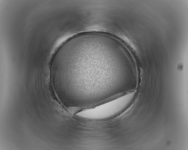 X0000097651358200803142100