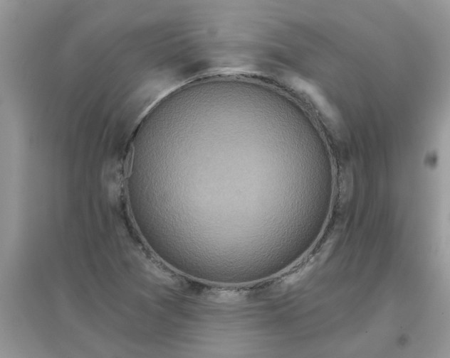 X0000097651361200803142100