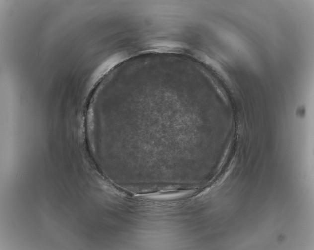 X0000097651362200803142100