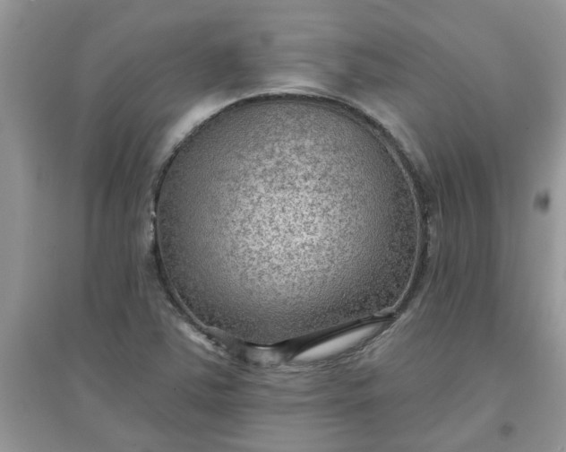 X0000097651363200803142100