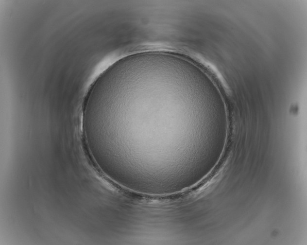 X0000097651365200803142100