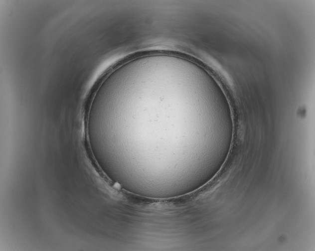 X0000097651368200803142100