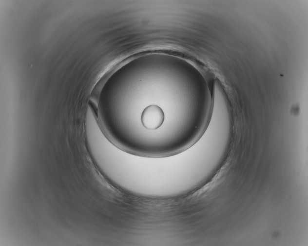 X0000097651369200803142100