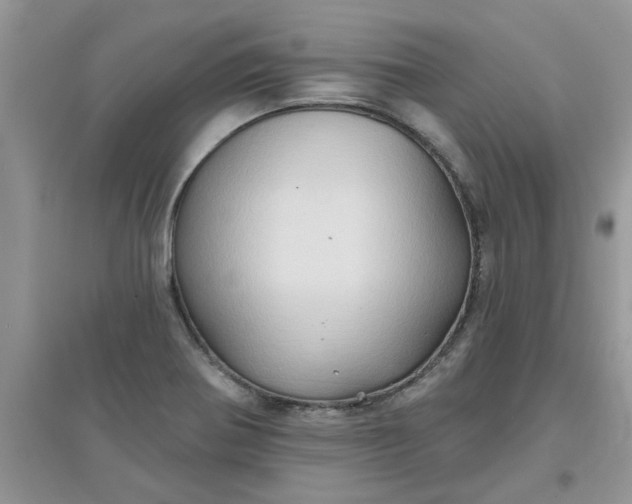 X0000097651370200803142100