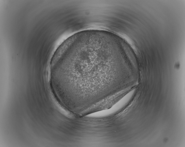 X0000097651371200803142100