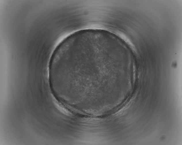 X0000097651372200803142100