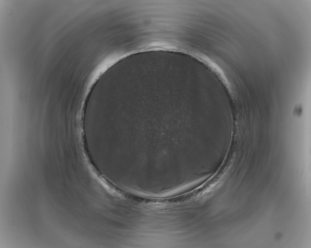 X0000097651373200803142100