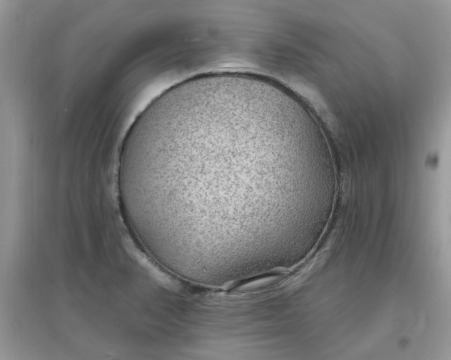 X0000097651374200803142100