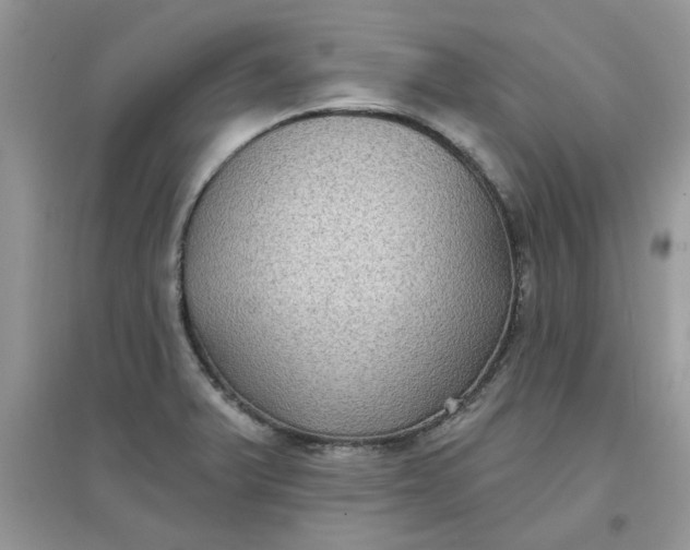 X0000097651375200803142100