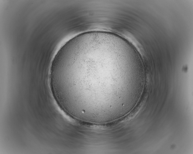 X0000097651379200803142100