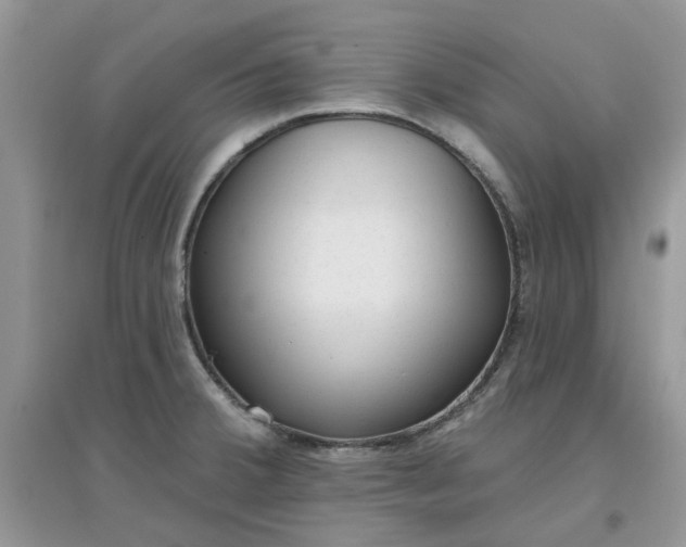 X0000097651380200803142100